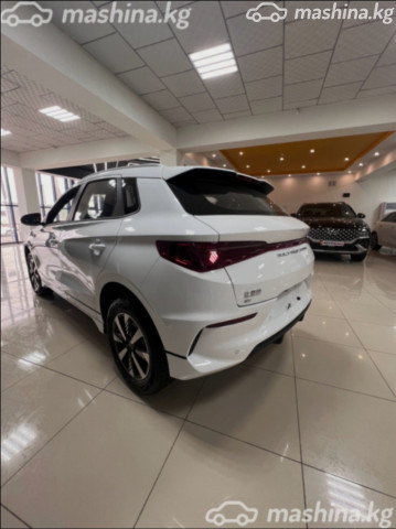 BYD E2